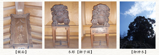 �z��/�ؒ��u���q���v/��_��