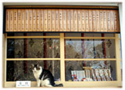 �L�̂�܂��Ƃ���ł�